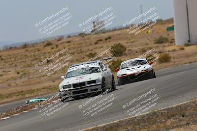 media/May-03-2025-Lucky Dog Racing (Sat) [[206de64b9d]]/Turn 6 (150pm-230pm)/